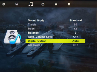 Blaupunkt TV digital audio configuration